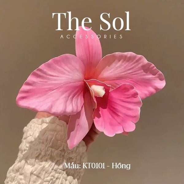  Kẹp Tóc Hàn Quốc Hoa Phong Lan Nhiệt Đới 