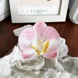  Kẹp Tóc Hàn Quốc The Orchids 