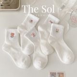  Tất Hàn Quốc The Cute Bunny 