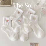  Tất Hàn Quốc Cool Bling 