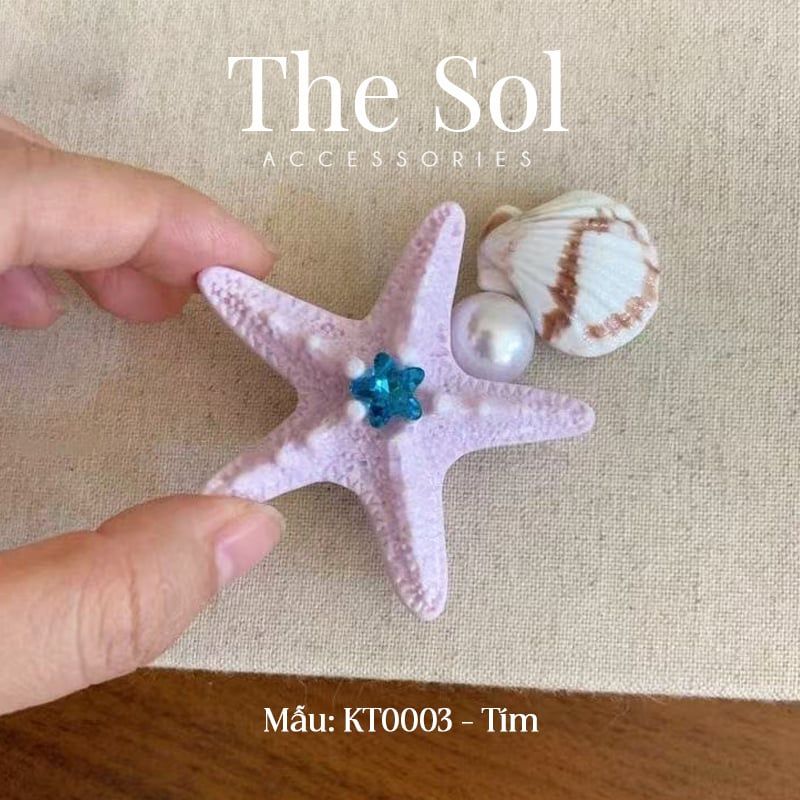  Kẹp Tóc Sao Biển & Sò Biển 
