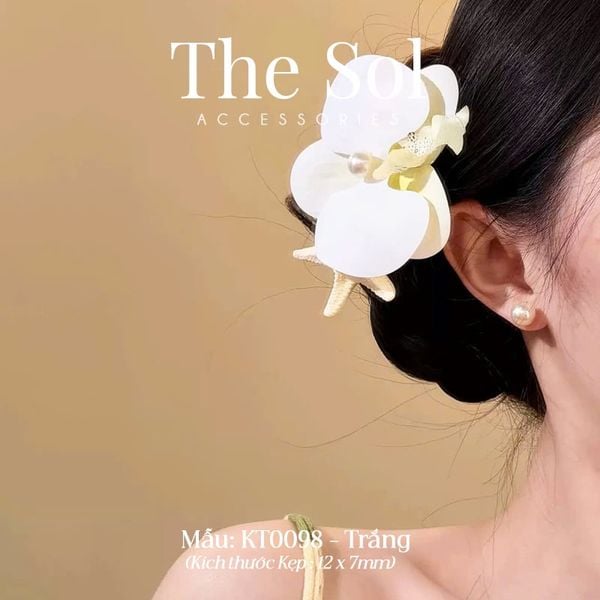  Kẹp Tóc Phong Lan & Sao Biển 