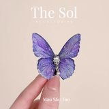  Kẹp Tóc Hàn Quốc The Butterfly 