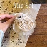  Kẹp Tóc Hàn Quốc Spring Rose 
