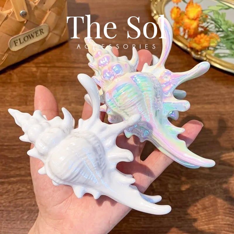  Kẹp Tóc Hàn Quốc Sea Snail 