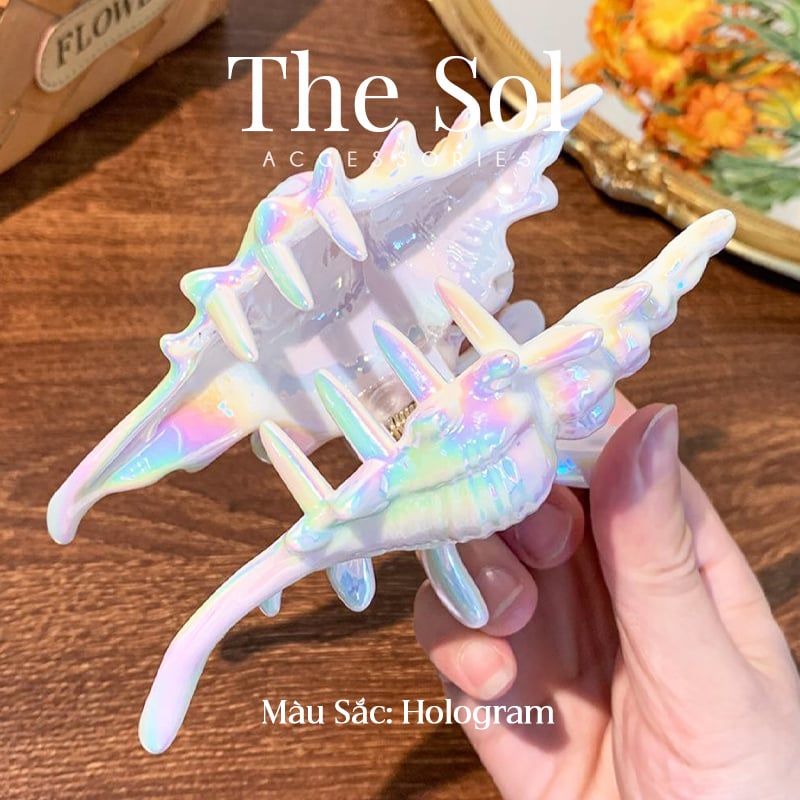  Kẹp Tóc Hàn Quốc Sea Snail 