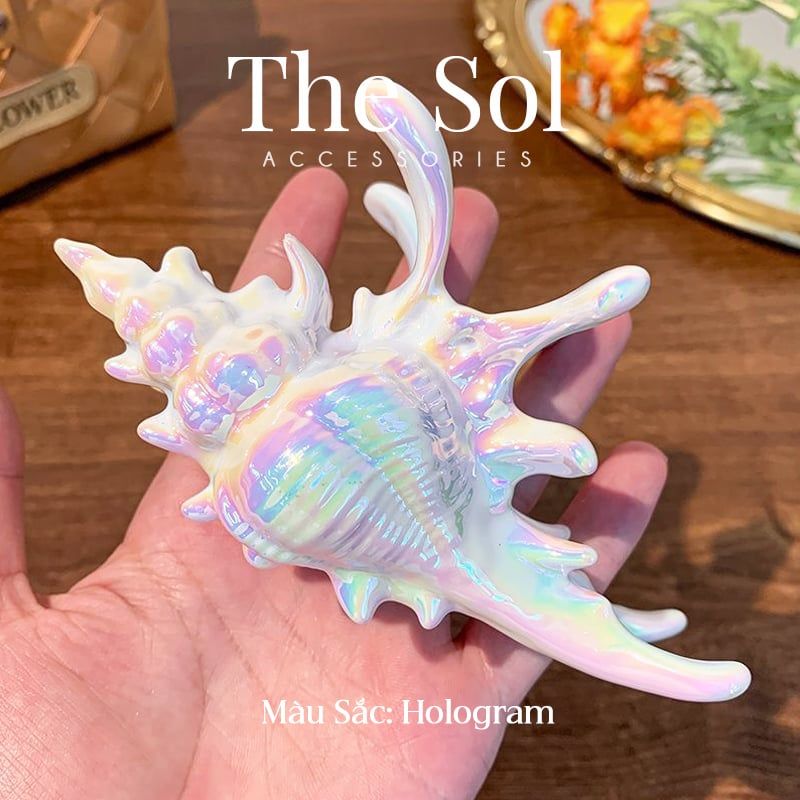  Kẹp Tóc Hàn Quốc Sea Snail 