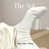  Tất Hàn Quốc Basic Trơn Không Viền 