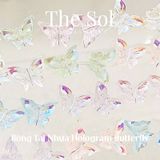  Bông Tai Nhựa Hologram Butterfly 