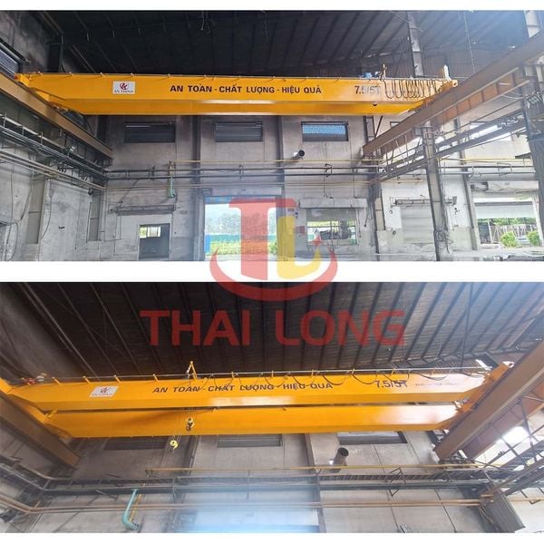 cầu trục 7,5 tấn 1