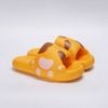 ChubbyCat Paw EVA Slides
