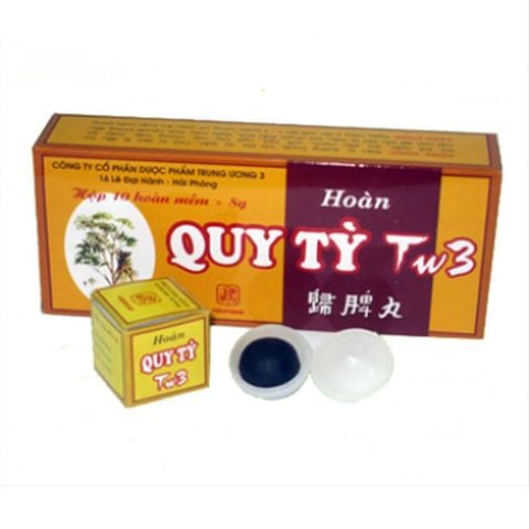 Viên Thuốc Hoàn Quy Tỳ TW3 ích khí dưỡng huyết, kiện tỳ