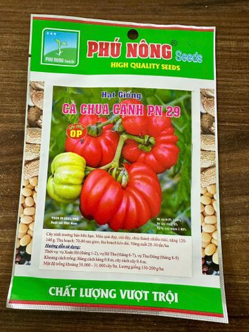 Cà chua cạnh cây sinh trưởng bán hữu hạn, màu quả đẹp, cùi dày