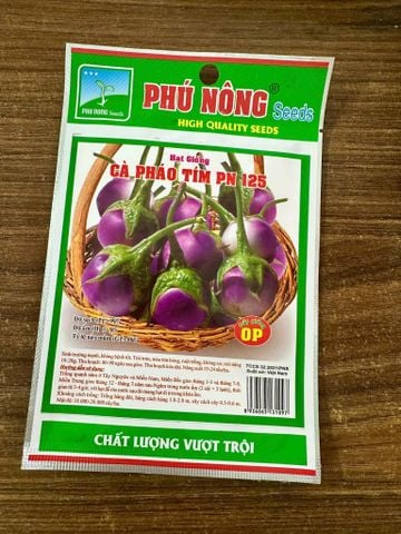 Hạt cà pháo tím PN 125 sinh trưởng mạnh kháng bệnh tốt