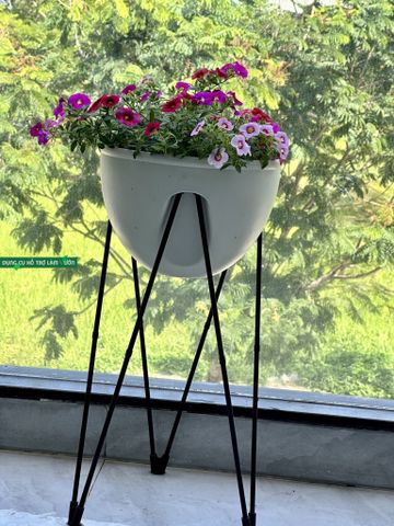  Chậu Skypot Daim Nhật Bản – Giải Pháp Trồng Cây Thông Minh, Tiết Kiệm Diện Tích 