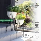  Chậu Skypot Daim Nhật Bản – Giải Pháp Trồng Cây Thông Minh, Tiết Kiệm Diện Tích 