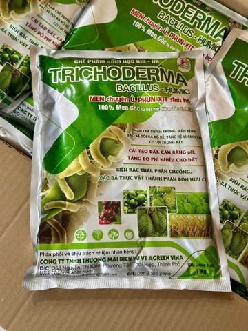 Trichoderma bacillus nấm đối kháng có lợi cho đất