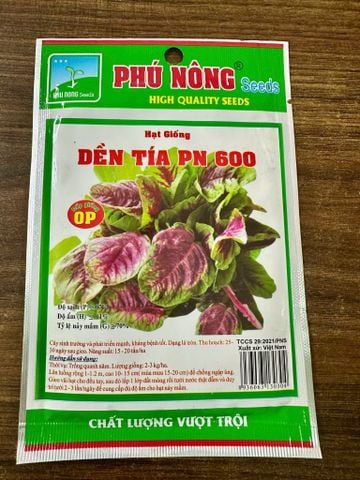 Hạt giống dền tía PN 600 trồng vườn phố vườn sân thượng phát triển mạnh và ít sâu bệnh