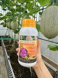  Dịch Chuối Vi Sinh - Hoa Rực Rỡ, Trái To Ngọt Lịm (Chai 500ml) 