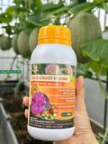  Dịch Chuối Vi Sinh - Hoa Rực Rỡ, Trái To Ngọt Lịm (Chai 500ml) 
