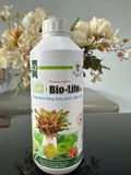  Dung dịch Thủy canh Bio-Life AB - Phân bón vi lượng chuyên dụng cho rau sạch và cây thủy sinh (Chai 1 Lít) 