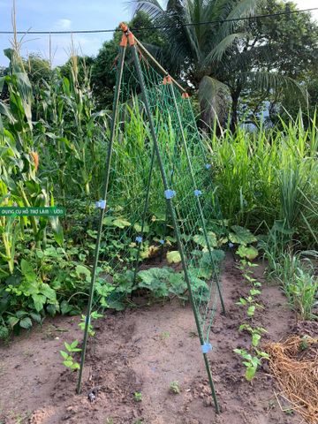  Giàn Chữ A Daim Nhật Bản Cao 2.1m x Dài 1.8m (Mã TS2.1) 