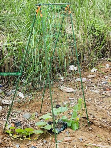  Giàn leo chữ A cao 180cm dài 60cm ống thép bọc nhựa phi 11 