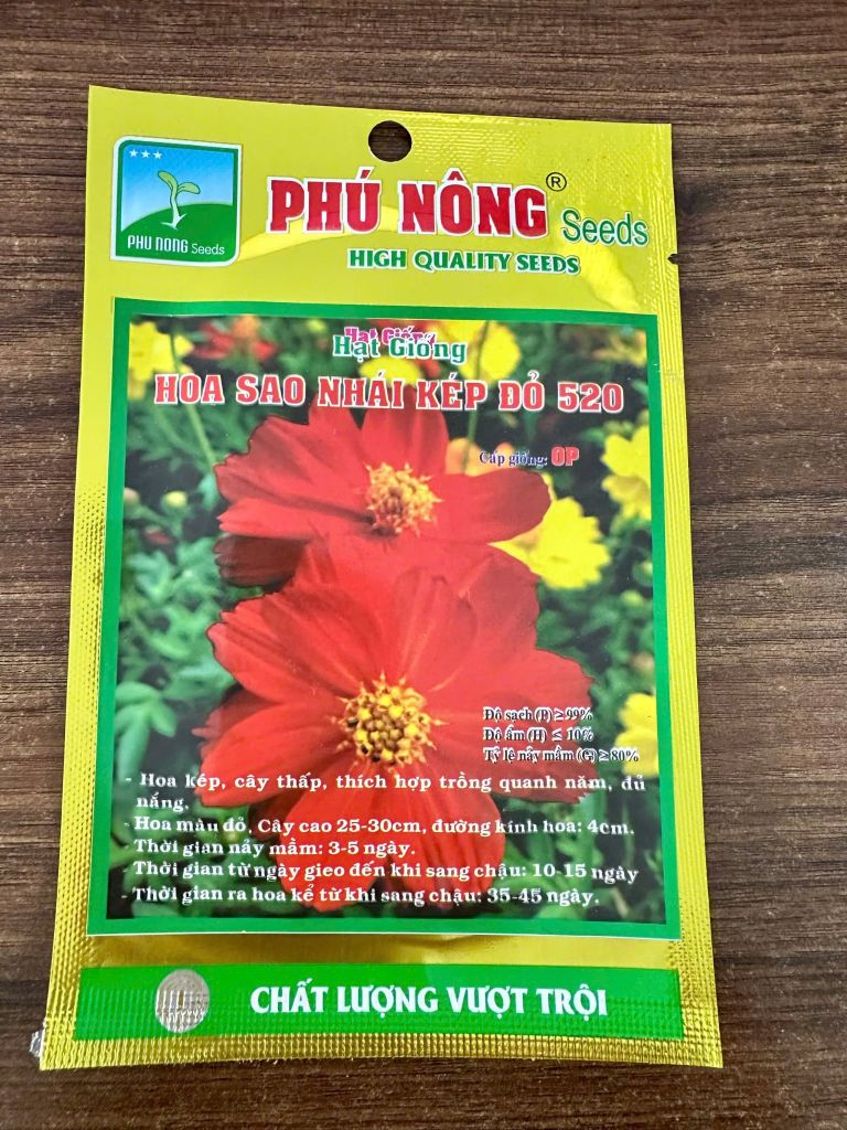  Hạt Giống Hoa Sao Nhái Kép Đỏ 520 – Sắc Đỏ Rực Rỡ, Sang Trọng Cho Sân Vườn 