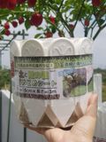  Hàng rào nhựa Daim (cao 15cm) 