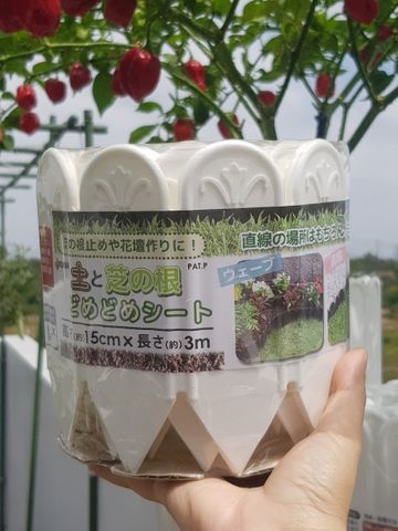  Hàng rào nhựa Daim (cao 15cm) 