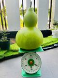  Hạt giống Bầu Hồ Lô Khổng Lồ - Trái to từ 8kg đến 15kg, tỷ lệ nảy mầm cao (Gói 5 hạt) 