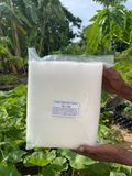  Lưới Chắn Côn Trùng Trồng Rau Cao Cấp – Giải Pháp Bảo Vệ Vườn Rau Sạch Chuẩn Hữu Cơ 