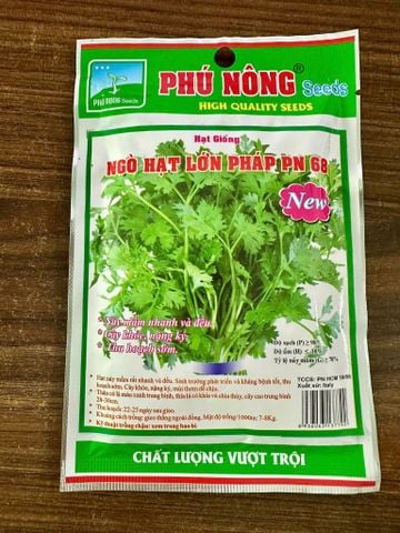 hat-giong-ngo-lon-phap-pn-68-phu-nong