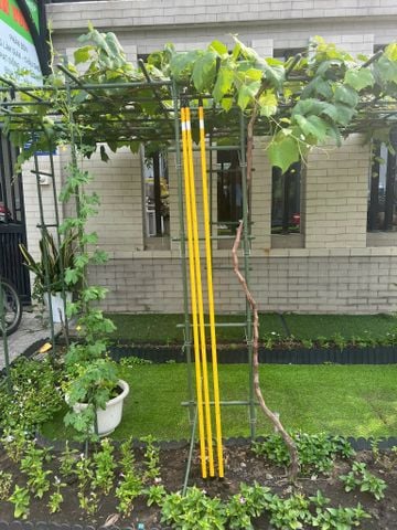  Ống thép bọc nhựa Daim phi 20 x 1.8 met CÓ THƯỚC ĐO 