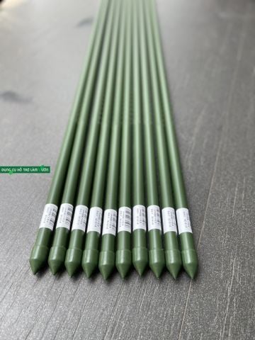  Ống Thép Bọc Nhựa Daim Phi 20 