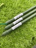  Ống thép bọc nhựa Daim phi 11 