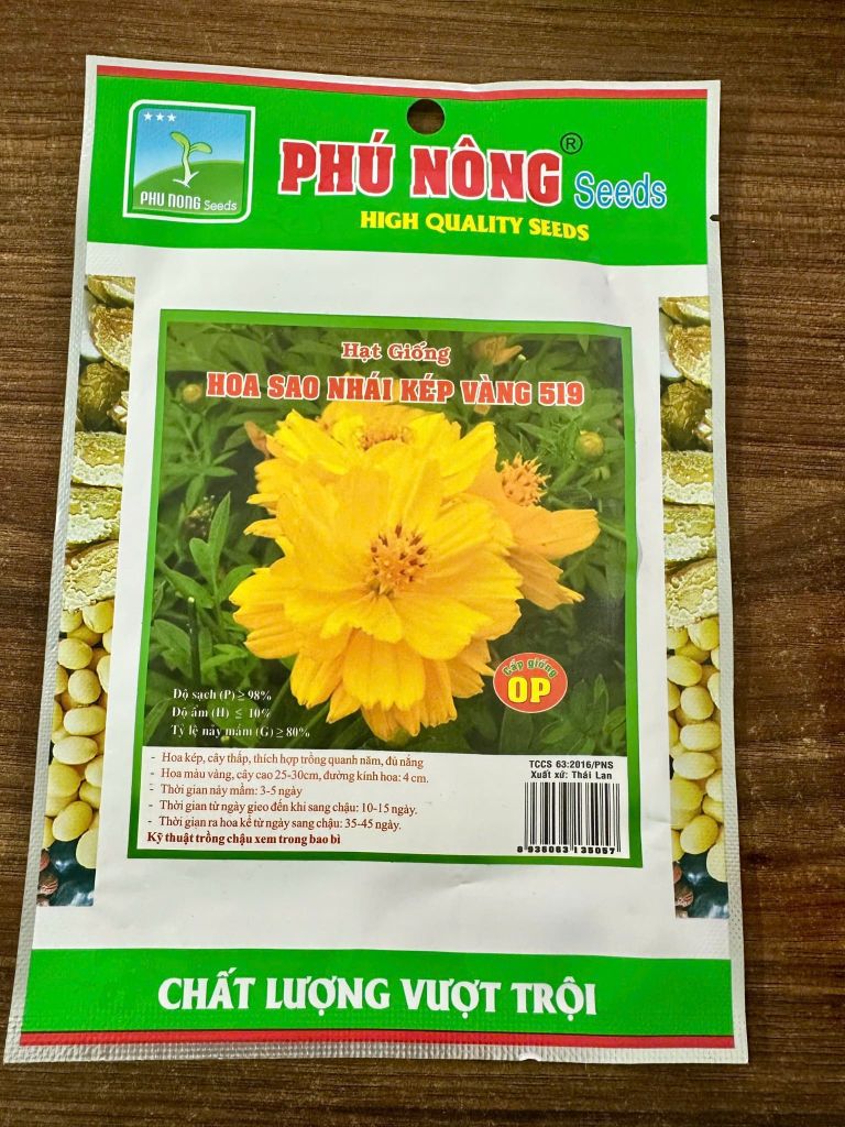  Hạt Giống Hoa Sao Nhái Kép Vàng 519 – Sắc Vàng Rực Rỡ, Cánh Dày, Nở Rộ Ban Công 