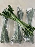  Thanh Liên Kết Ống Thép Phi 11 Dài 28cm - Phụ Kiện Làm Giàn Leo Thông Minh 