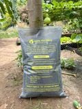  Trấu Hun Nguyên Cánh SFARM Bao 20dm3 - Giá Thể Tới Xốp, Sạch Mầm Bệnh 
