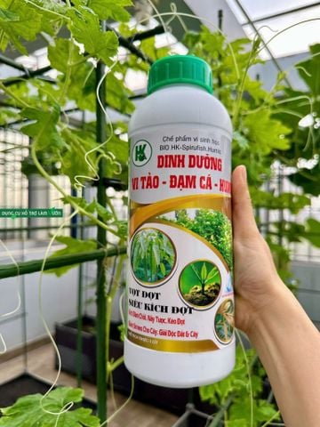  Dinh Dưỡng Vi Tảo - Đạm Cá - Humic Hoàng Kim (Chai 1 Lít) – Vọt Đọt, Siêu Kích Chồi 