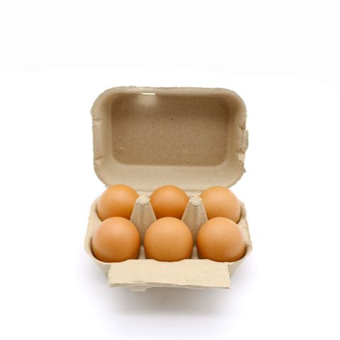 フレッシュ卵 （6 個入り）-Fresh eggs