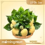  Mâm Ngũ Quả Vu Lan 061 