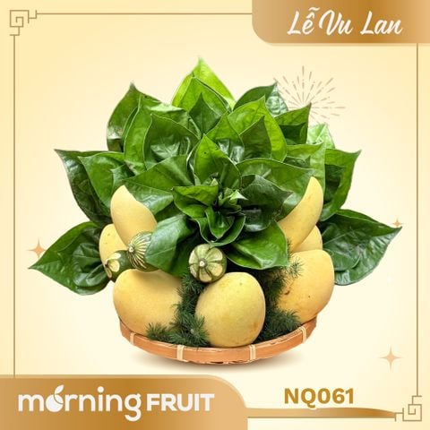  Mâm Ngũ Quả Vu Lan 061 