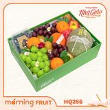  Hộp quà trái cây HQ256 