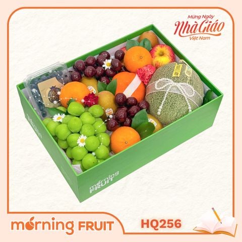  Hộp quà trái cây HQ256 