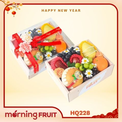 Hộp quà trái cây HQ228 