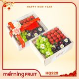  Hộp quà trái cây HQ229 