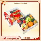  Hộp quà trái cây HQ230 