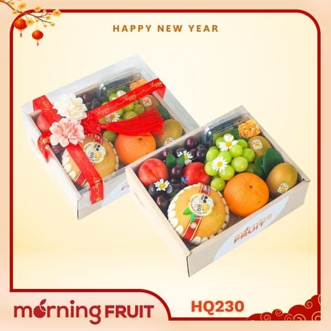  Hộp quà trái cây HQ230 