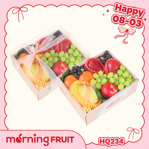  Hộp quà trái cây HQ234 
